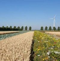 Kom ook naar de Landelijke Onderwijsdag Natuurinclusieve landbouw in Groen onderwijs 2024